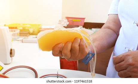 Nurse With Platelet Bag In Her Hand In Laboratory.