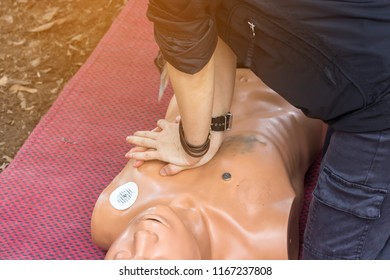 The Nurse Show How To Do CPR With A Torso In Basic Life Support Training  