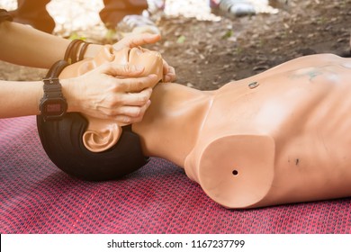 The Nurse Show How To Do Head Tilt And Chin Lift  With A Torso In Basic Life Support Training  