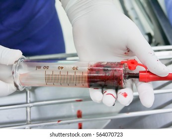 Nurse Use Glass Syringe To Irrigate Nasogastric Tube In Patient With Gastrointestinal Bleeding