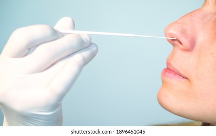 A nurse wearing latex gloves inserts a swab into a woman's nose to collect a possible positive COVID-19 sample during the pandemic. Antigen test procedure. - Shutterstock ID 1896451045
