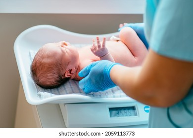 A nurse weighs on the scales a newborn baby at hospital. Health care concept.