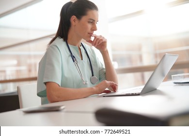 Nurse Working On Laptop Computer                    