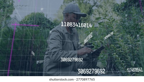 Nursery tech wearing cap and jacket holding tablet and scanning plants in nursery with AR IDs. Horticulture, agritech, fieldwork, outdoor, datadriven, augmentedreality, visualization