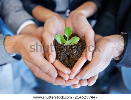 Nurturing the company from birth. A young plant being held by a business professional.
