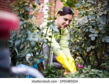 Nurturing My Garden. Woman Working In The Garden. 