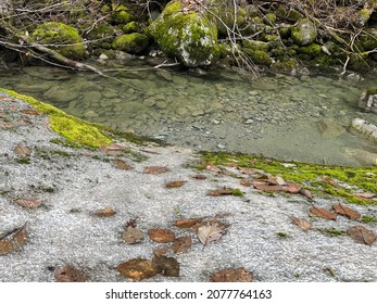 Nusatsum River Rock Softened Over Time In Bella Coola British Columbia