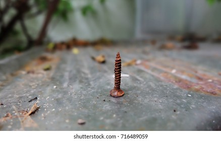 Nut on rust