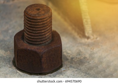 Nut rust