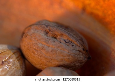 Nut Of Wallnut Tree