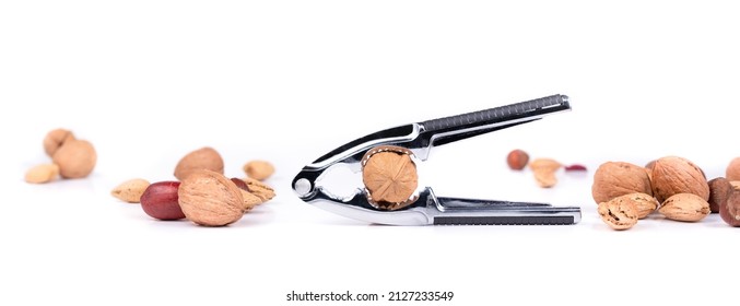Nutcracker pliers with walnut and a variety of tree nuts arranged horizontal. Pile of unsalted walnuts, pecans, almonds and hazelnuts in shell. Healthy fat concept. Selective focus. Isolated on white