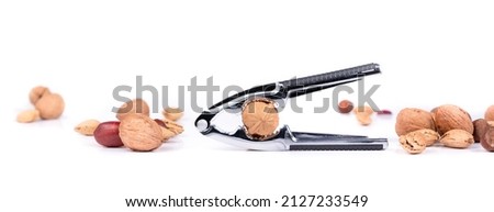 Nutcracker pliers with walnut and a variety of tree nuts arranged horizontal. Pile of unsalted walnuts, pecans, almonds and hazelnuts in shell. Healthy fat concept. Selective focus. Isolated on white