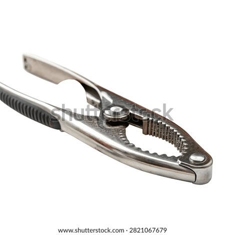 Nutcracker tool on white background