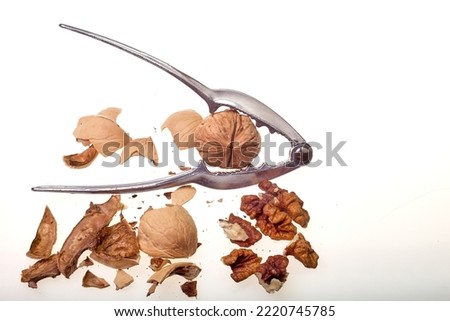 Nutcracker and walnut. Walnuts on a white background and a walnut tree.