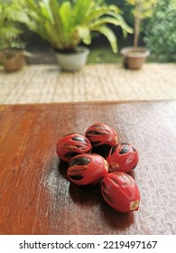 Nutmeg (Myristica Fragrans) Is A Plant In The Form Of A Tree Originating From The Banda Islands, Maluku. As A Spice, Nutmeg Fruit And Seeds Have Been An Important Trading Commodity Since Roman Times.