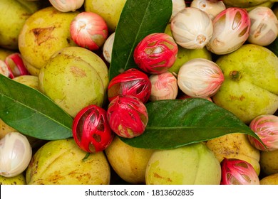 Nutmeg Is The Seed Or Ground Spice Of Several Species Of The Genus Myristica. Nutmeg (Myristica Fragrans) Is A Tree Plant Originating From The Banda Islands, Maluku, Indonesia. 