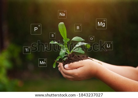 Nutrients mineral in soil and plant. Digital icon of Mendeleev's periodic table. Close up of hands holding soil and plant.