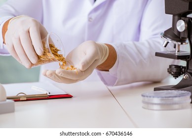 Nutrition Expert Testing Food Products In Lab