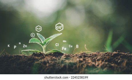 nutrition for life soil with modern digital nutrient iconsTechnologies related to plant and soil elements Everything in the world is made up of four elements: earth, water, wind, and fire. - Powered by Shutterstock