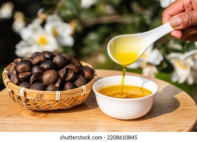 Nutritious And Healthy Camellia Seed Oil