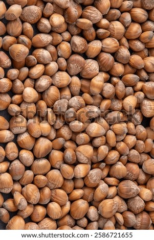 Nuts background. Hazelnut food. Kernel raw seed. Hazel nut heap