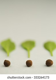 nuts and Greens