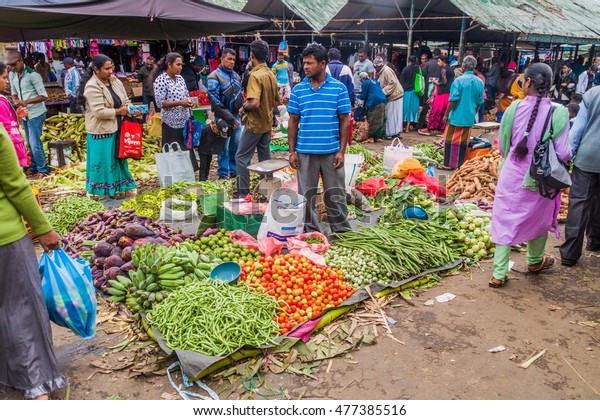 Nuwara Eliya Sri Lanka July 17 Stock Photo (edit Now) 477385516