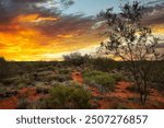 NW Coastal Hwy, Yandoo Creek, Western Australia.North West Coastal Highway is an amazing coastal route through Western Australia