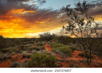 NW Coastal Hwy, Yandoo Creek, Western Australia.North West Coastal Highway is an amazing coastal route through Western Australia's remote north-west. It's one of the Australian longest roads. - Powered by Shutterstock