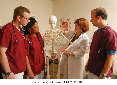 NY, NY / USA - March 12, 2017: undergraduate college nursing students (in red) learning the skeletal system from instructor (in white)