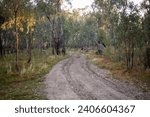 Nyah Vinifera Park, Free Camping, Nyah, VIC, Australia