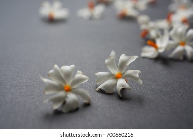 91 Prajakta Images, Stock Photos & Vectors | Shutterstock