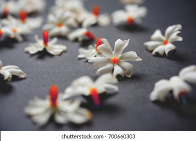 91 Prajakta Images, Stock Photos & Vectors | Shutterstock