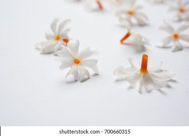 91 Prajakta Images, Stock Photos & Vectors | Shutterstock