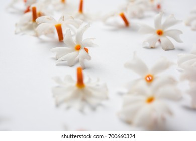 91 Prajakta Images, Stock Photos & Vectors | Shutterstock