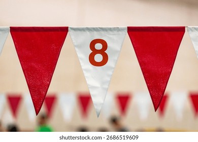 Nylon backstroke flags hanging over a pool with the number 8