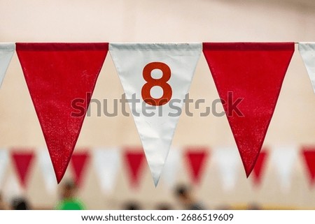 Nylon backstroke flags hanging over a pool with the number 8