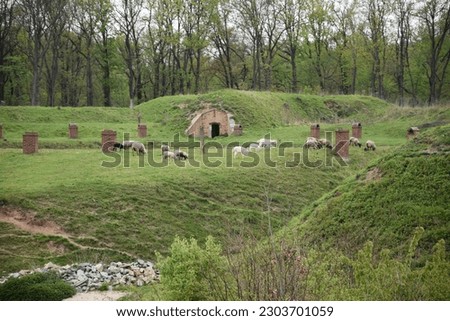 Nysa, Fort Prusy, fortifications, walls, fortifications, armaments,