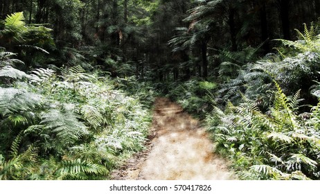 NZ Bush Walk