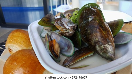 NZ Green lip mussels