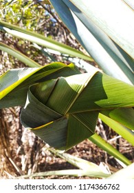 NZ Maori Flax Weaving