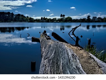 A NZ Waterscape Scenic Photo Of A Lake In Hamilton, NZ,