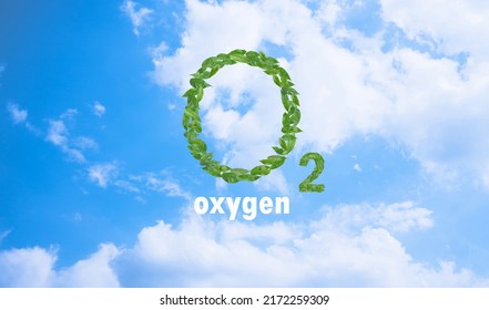 O2 Oxygen Design Green Leaves On Stock Photo 2172259309 | Shutterstock