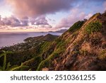 Oahu, Hawaii, Honolulu, beaches, mountains, ocean, sunrises, sunsets, tropical, paradise, serene, lush, coastline, palm trees, turquoise, water, waves, sandy shores, vibrant, skies, volcanic, peaks