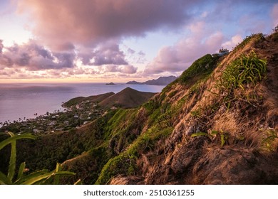 Oahu, Hawaii, Honolulu, beaches, mountains, ocean, sunrises, sunsets, tropical, paradise, serene, lush, coastline, palm trees, turquoise, water, waves, sandy shores, vibrant, skies, volcanic, peaks - Powered by Shutterstock