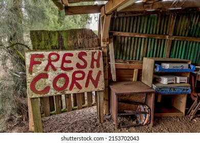 Oahu, Hawaii - March 28, 2022: Signage And People Lining Up At Fumi's Shrimp Shack On Oahu