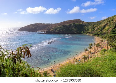 Hanauma Bay State Park High Res Stock Images Shutterstock