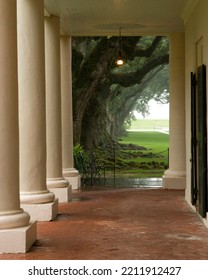 Oak Alley Southern Plantation In A Rainstorm 