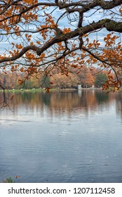 oak branches with fall foliage over the lake in the Catherine Park