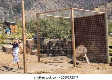 Oak Glen, California,October 6, 2021: A Boy Attending An Apple Harvest Event In The California Countryside And Throwing A Hatchet At A Wooden Target